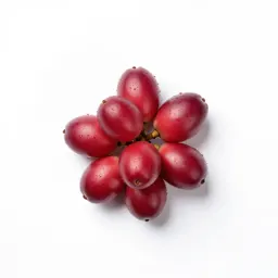 Cattley guava