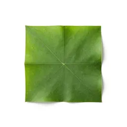 Ceibo