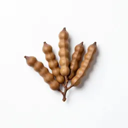 Divi-divi