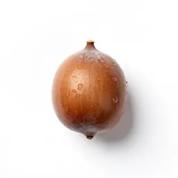 Hickory