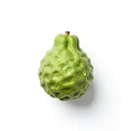 Kaffir boom