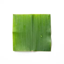 Kalumpang