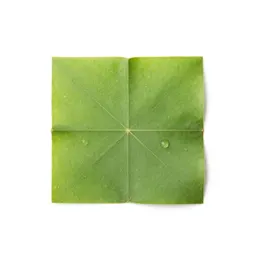 Kapok