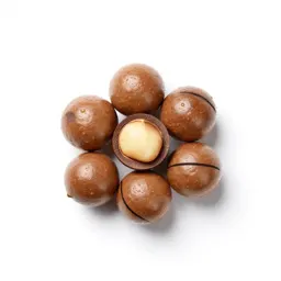Macadamia