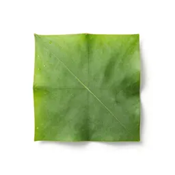 Mayeng