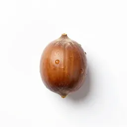 Nutmeg hickory