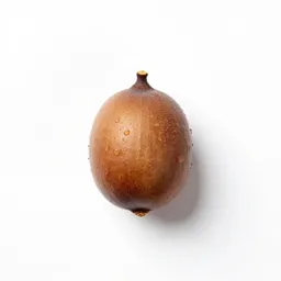 Pignut