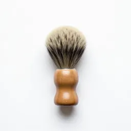 Shaving-brush tree