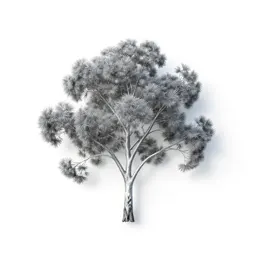 Silver tree