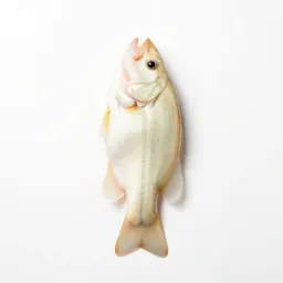 White basswood