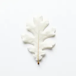White oak