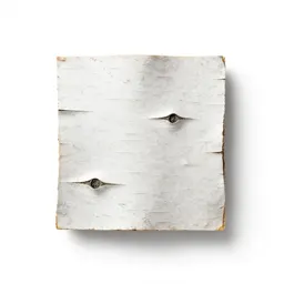 White stringybark