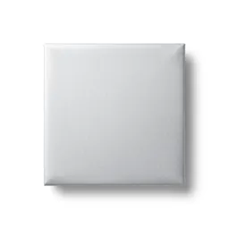 Idesia