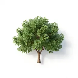 Iron tree