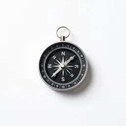 Compass plant