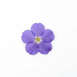 Floret