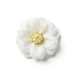Flower head