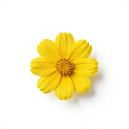 Helmetflower