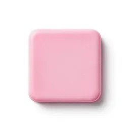 Maiden pink