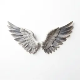 Winged everlasting