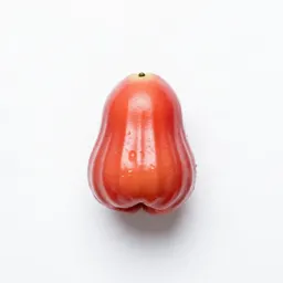 Balsam apple