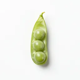 Beach pea