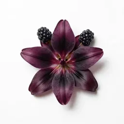 Blackberry-lily