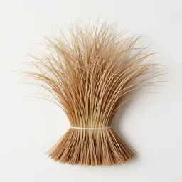 Broom beard grass