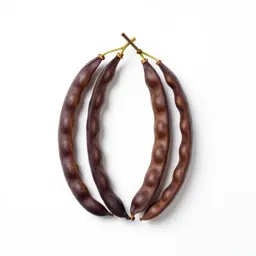 Calabar-bean vine