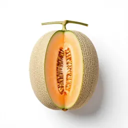 Cantaloupe