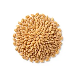 Cereal