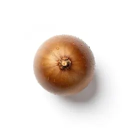 Climbing onion