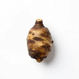 Colicroot
