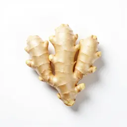 Common ginger