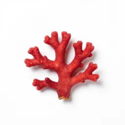 Coral pea