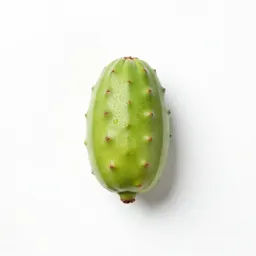 Corchorus