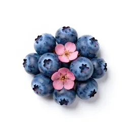 Dangleberry