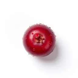 Deerberry