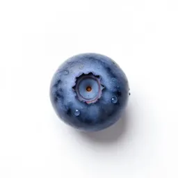 Dwarf bilberry
