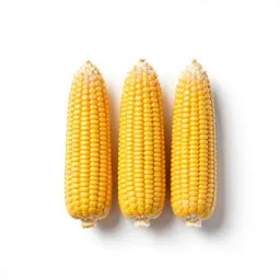 Field corn