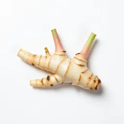 Galangal