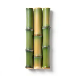 Giant bamboo
