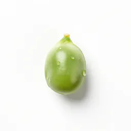Glory pea