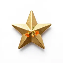 Golden star