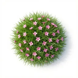 Grass poly