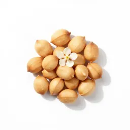 Groundnut
