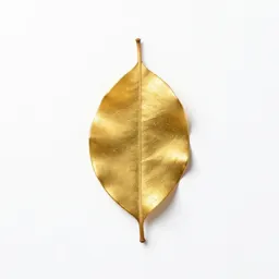 Guinea gold vine