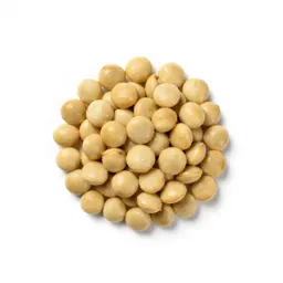 Heath pea