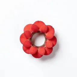 Hiccup nut