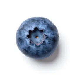 High-bush blueberry
